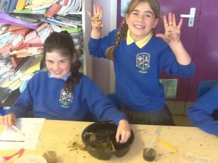 Investigating the Properties of Sand and Soil 
